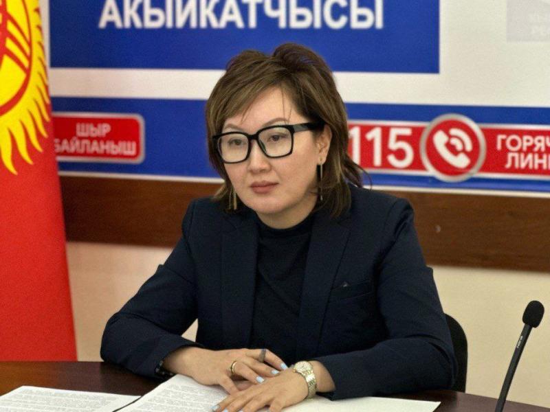 Акыйкатчы институту расмий сайтынын жаңы версиясын ишке киргизди 