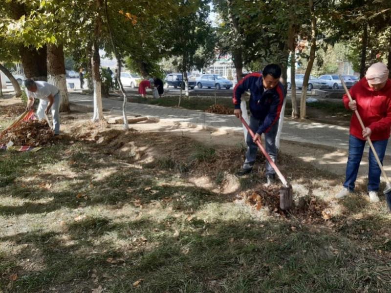 Акыйкатчы институтунун кызматкерлери Кой-Ташта жол жээгиндеги 4 чакырым участокту таштандыдан арылтышты