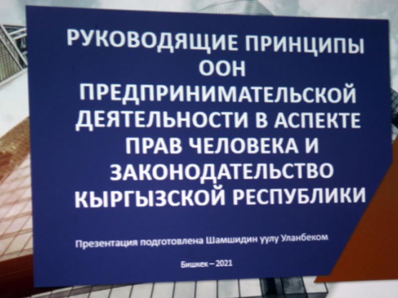 В институте Омбудсмена КР состоялась презентация руководящих принципов ООН предпринимательской деятельности в аспекте прав человека и законодательства Кыргызской Республики