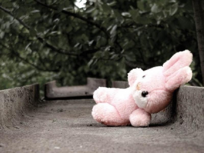 Акыйкатчынын көмөгү менен жашы жете элек кызды зордуктоо боюнча кылмыш иши көзөмөлгө алынды