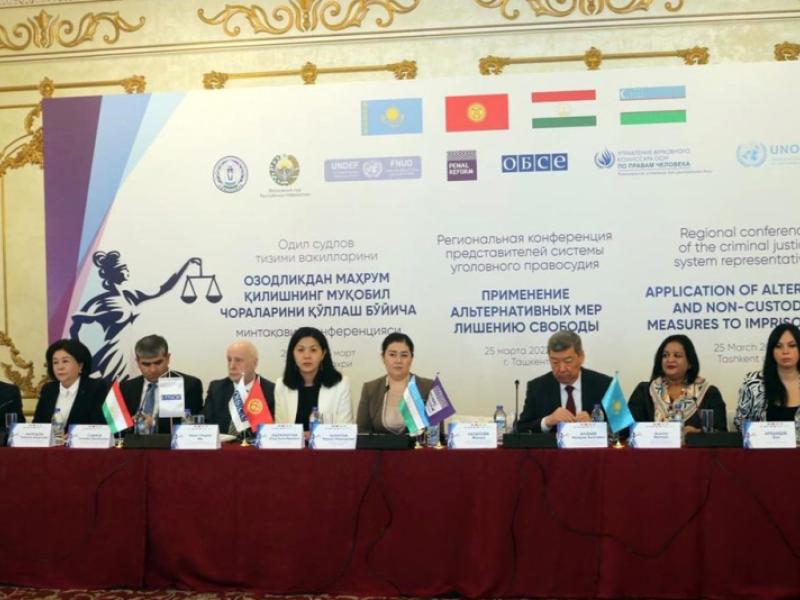 Акыйкатчы (Омбудсмен) Атыр Абдрахматова принимает участие в Региональной конференции на тему «Применение альтернативных мер лишению свободы»