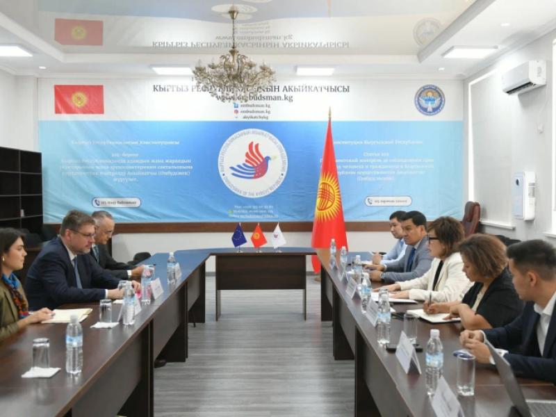 Акыйкатчы Евробиримдиктин Борбордук Азиядагы атайын өкүлү менен жолукту