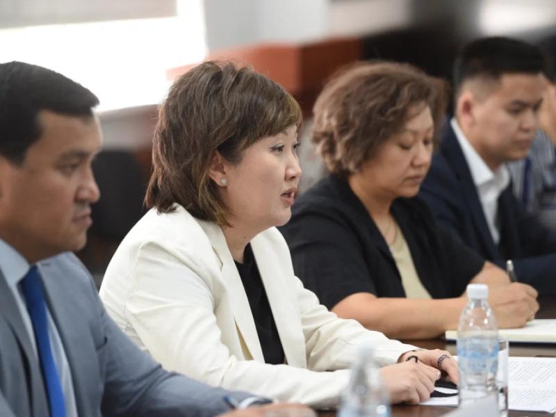 Акыйкатчы Евробиримдиктин Борбордук Азиядагы атайын өкүлү менен жолукту