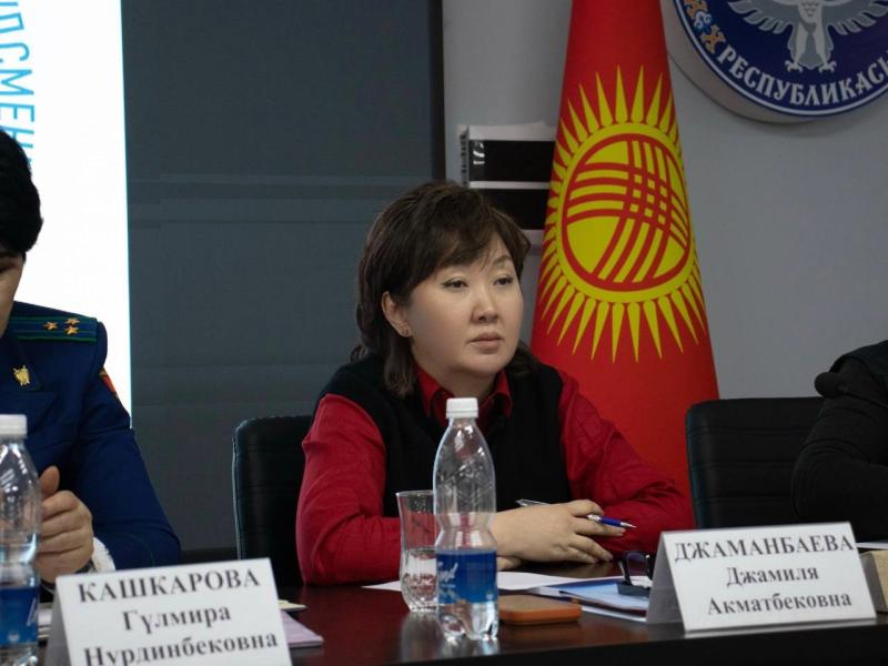 Нарындын тургундары Акыйкатчыдан Ат-Башы районуна чек ара аймагы статусун алууга көмөктөшүүнү суранышты