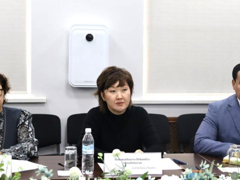 Акыйкатчы Джамиля Джаманбаева провела встречу с представителями системы ООН