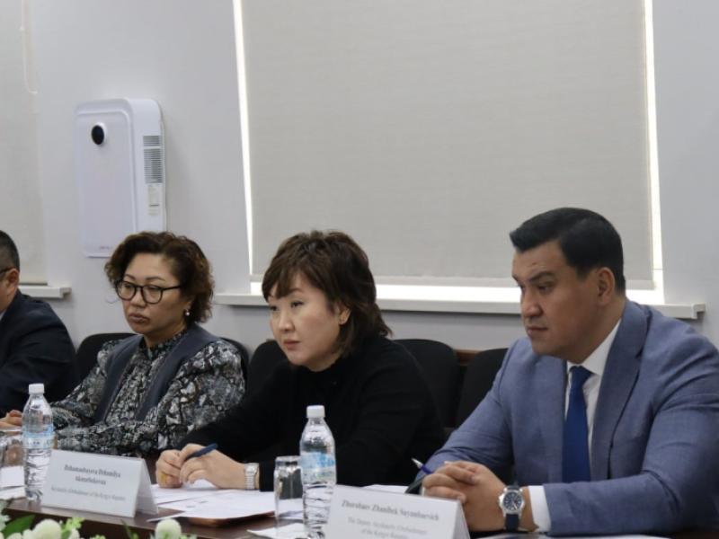 Жамиля Жаманбаева БУУнун туруктуу координатору жана Борбор Азиядагы аймактык өкүлү менен жолугушту