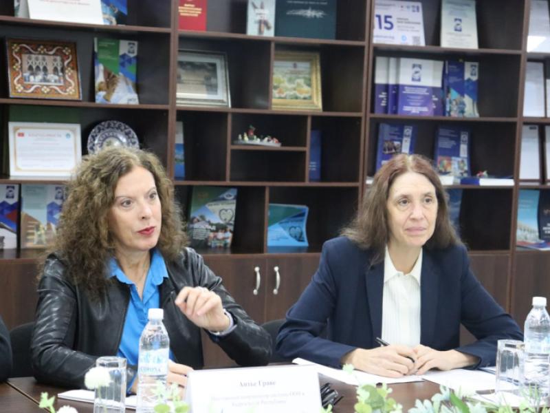 Акыйкатчы Джамиля Джаманбаева провела встречу с представителями системы ООН