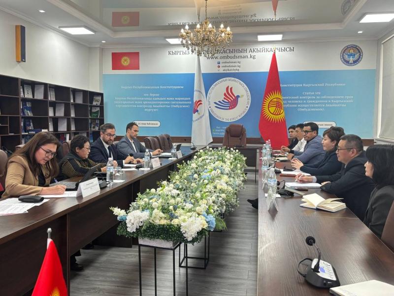УВКЧП ООН: У Института Акыйкатчы КР растущий потенциал среди стран Центральной Азии