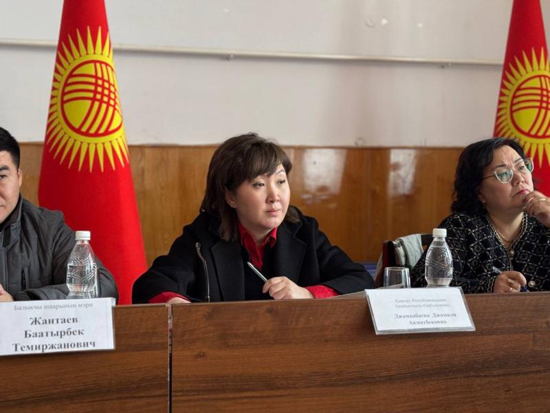 Акыйкатчынын Ысык-Көлгө болгон иш сапарынын жыйынтыгы: ондогон кайрылуулар кабыл алынып, укуктук кеп-кеңештер берилди