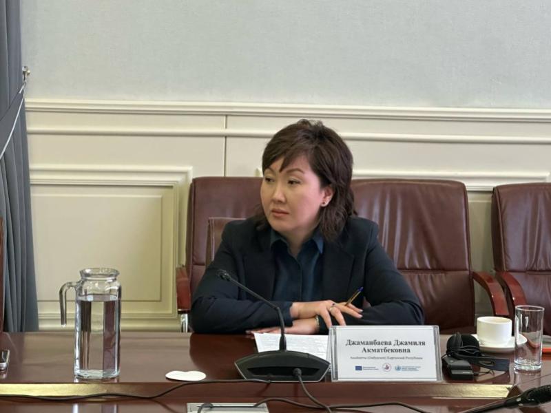  Институт Акыйкатчы инициирует разработку стратегии по укреплению права на справедливое судебное разбирательство