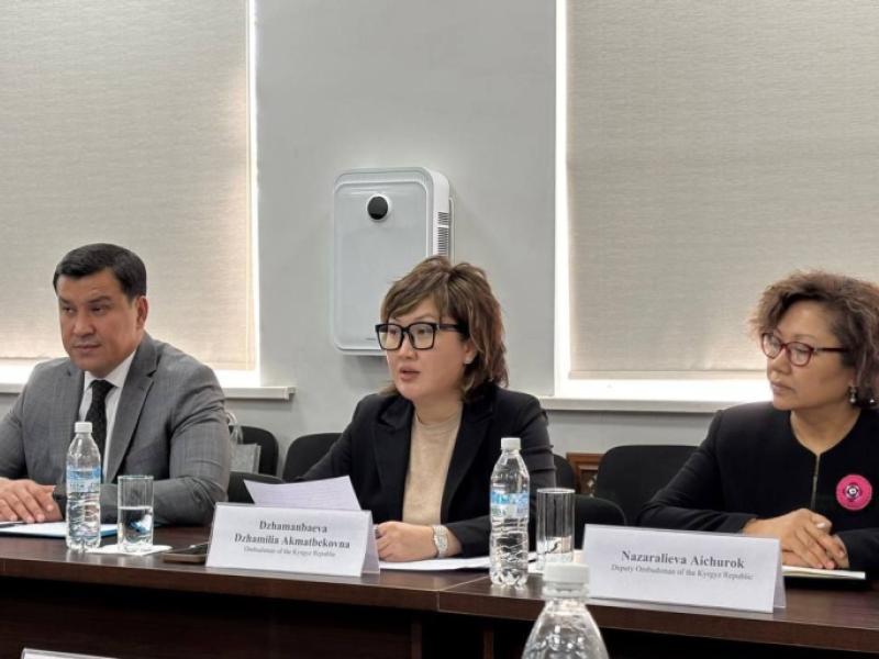  Акыйкатчы жана ЕККУнун ПА өкүлү Кыргызстандагы адам укуктарынын абалын талкуулашты