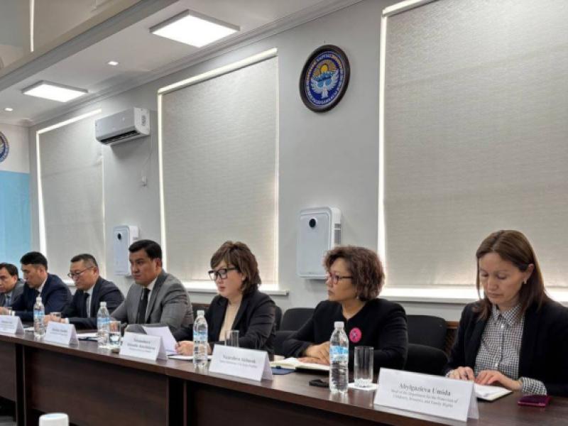  Акыйкатчы жана ЕККУнун ПА өкүлү Кыргызстандагы адам укуктарынын абалын талкуулашты
