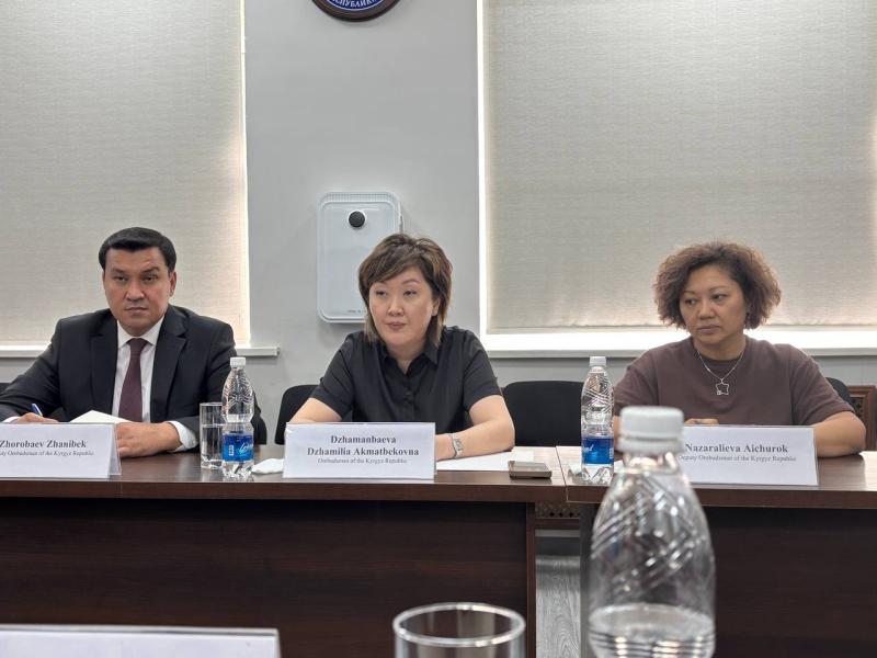 Акыйкатчы с представителями международных организаций обсудила меры по укреплению системы предотвращения пыток в Кыргызстане