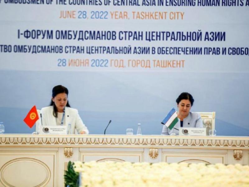  Атыр Абдрахматова: Кыргызстан адам укуктары боюнча хабды түзөт  