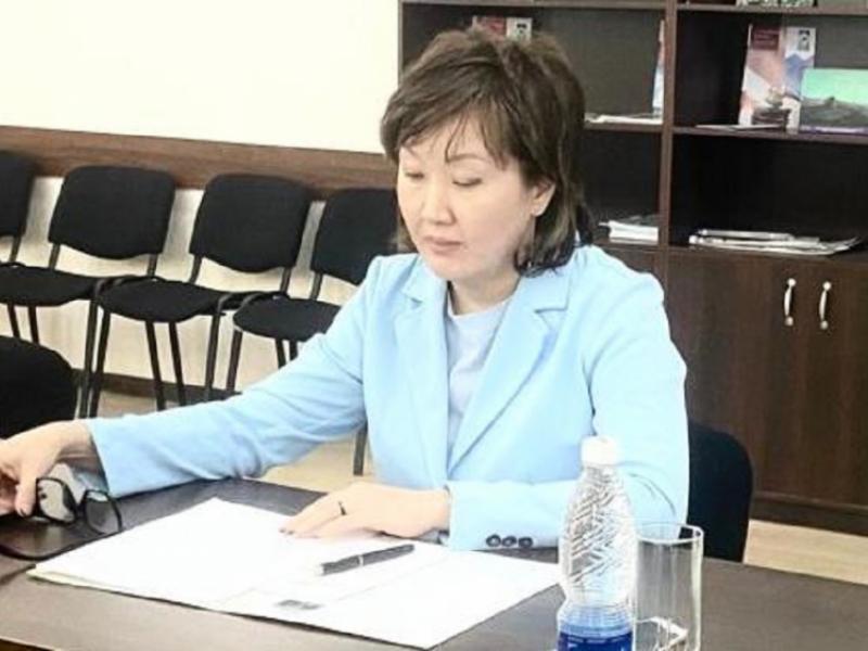 Акыйкатчы Джамиля Джаманбаева и глава национального офиса УВКБ ООН провели встречу