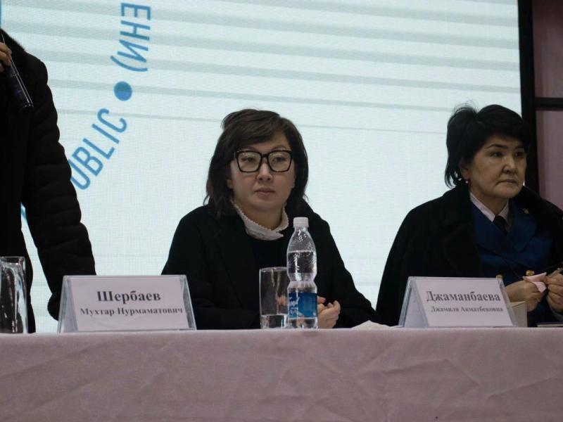 Жители Нарына попросили Акыйкатчы содействовать в получении статуса приграничной зоны Ат-Башинскому району