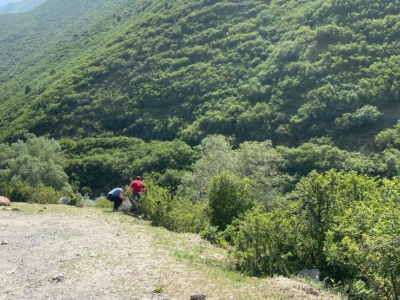 Сотрудники Института омбудсмена очистили от мусора 4 км вдоль трассы