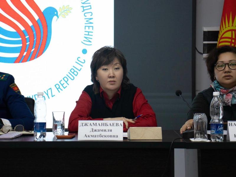 Жители Нарына попросили Акыйкатчы содействовать в получении статуса приграничной зоны Ат-Башинскому району