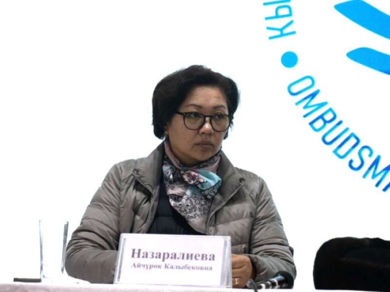 Нарындын тургундары Акыйкатчыдан Ат-Башы районуна чек ара аймагы статусун алууга көмөктөшүүнү суранышты