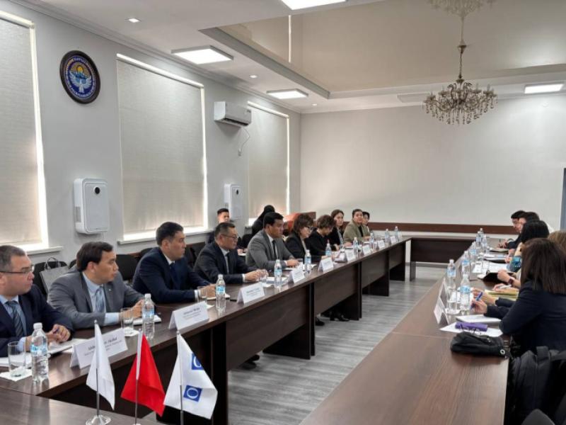 Акыйкатчы и представитель ПА ОБСЕ в ЦА обсудили состояние прав человека в КР