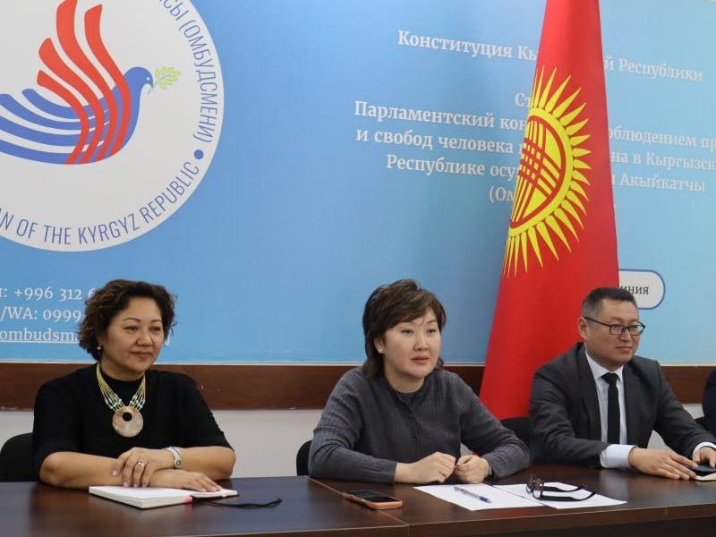 Акыйкатчы провела онлайн-встречу с Подкомитетом ООН по предупреждению пыток