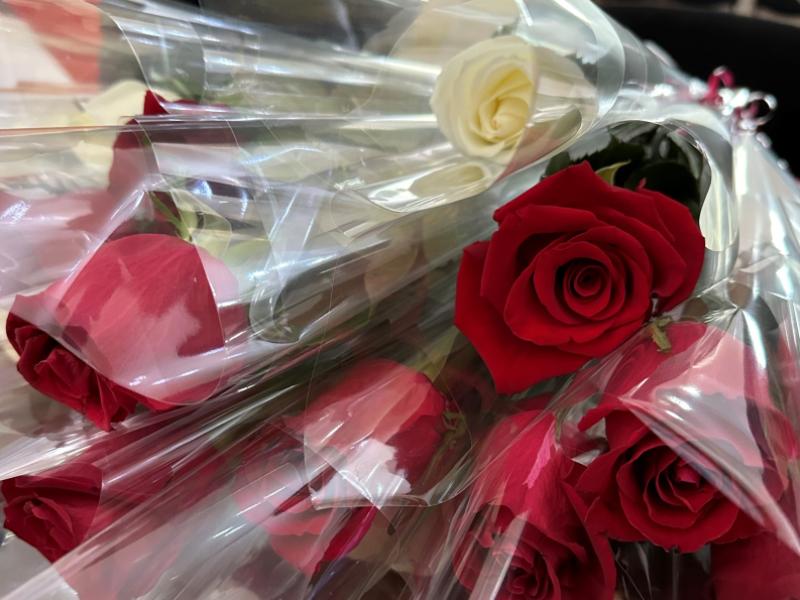 Акыйкатчы Джамиля Джаманбаева поздравляет журналистов с Днем информации и печати