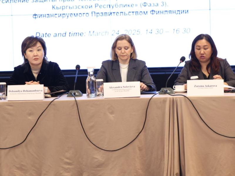 Джаманбаева приняла участие в заседании координационного совета проекта ПРООН по доступу к правосудию