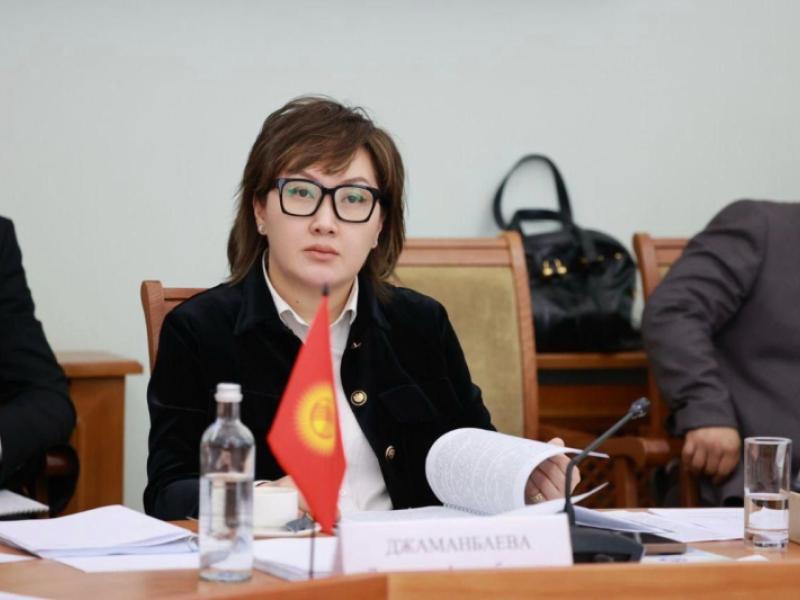 Акыйкатчы приняла участие в заседании Комиссии по правам человека СНГ