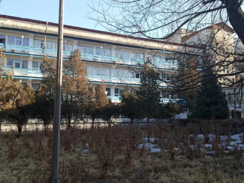 Акыйкатчы Институтунун кызматкерлери улгайган аялды карылар үйүнө жайгаштырууга жардам берди