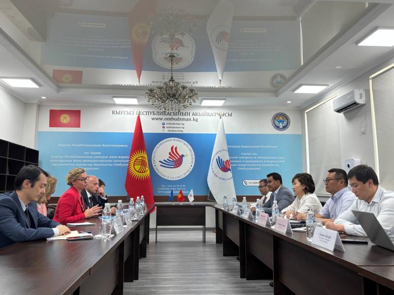 Акыйкатчы БУУнун кыйноолордун алдын алуу комитетинин төрагасынын орун басары менен жолугушту