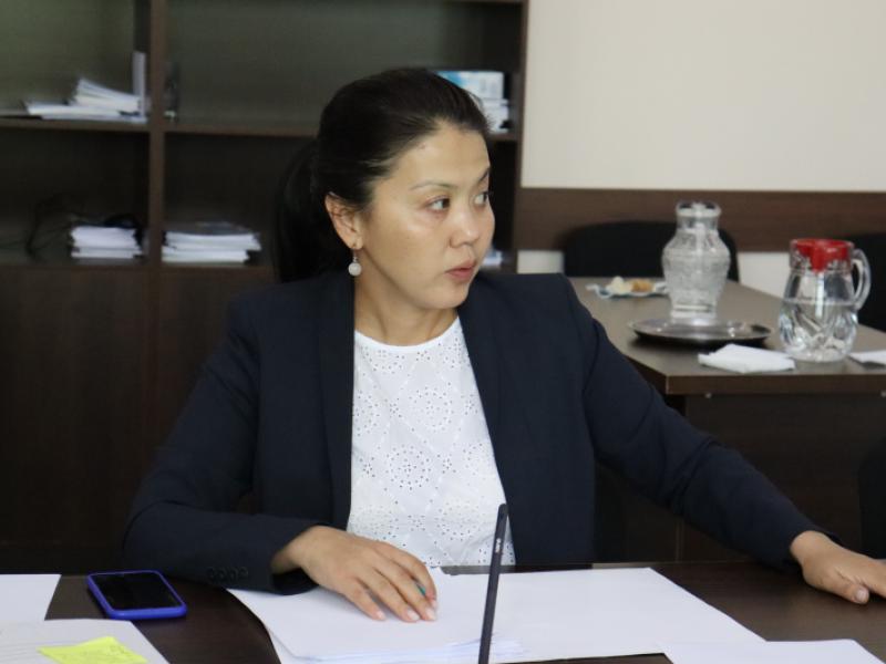 Атыр Абдрахматова өкмөттүк эмес уюмдардын өкүлдөрү менен жолукту