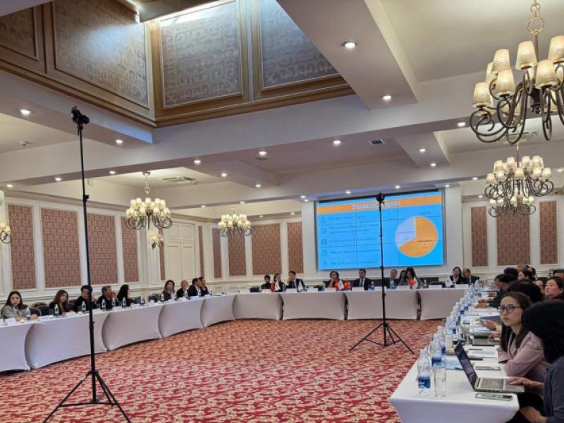 Безопасность иностранных студентов в Кыргызстане обсудили на круглом столе