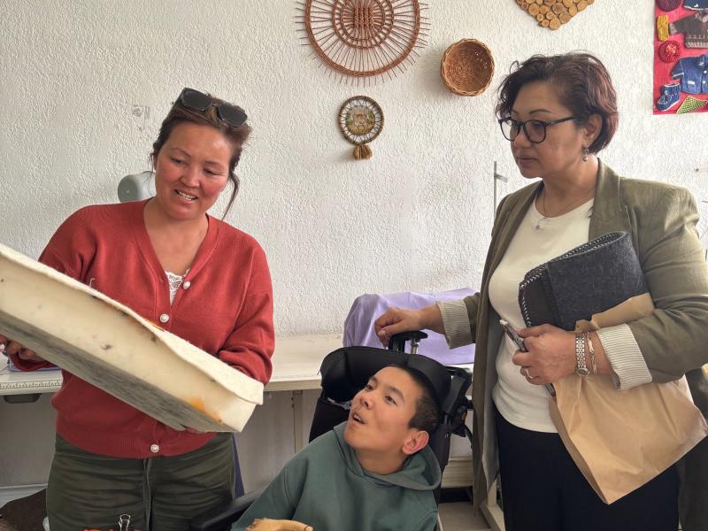 Институт Акыйкатчы окажет поддержку социальной деревне “Манас”