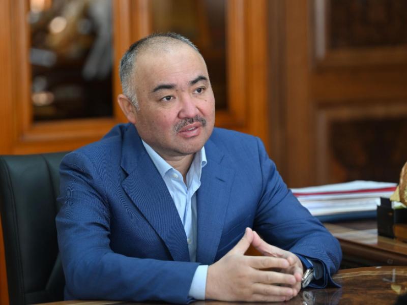  Жамиля Жаманбаева Жогорку Кеңештин төрагасы Нурланбек Тургунбек уулу менен жолукту 