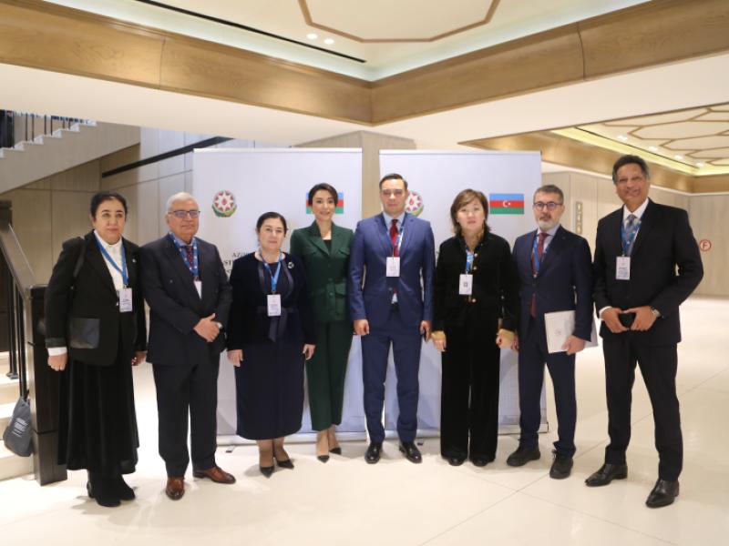 Жамиля Жаманбаева Баку шаарында өткөн эл аралык конференцияда сөз сүйлөдү