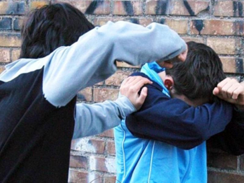 Аппарата Омбудсмена КР оказал содействие  в защите прав и безопасности ученика Ново-Покровской школы