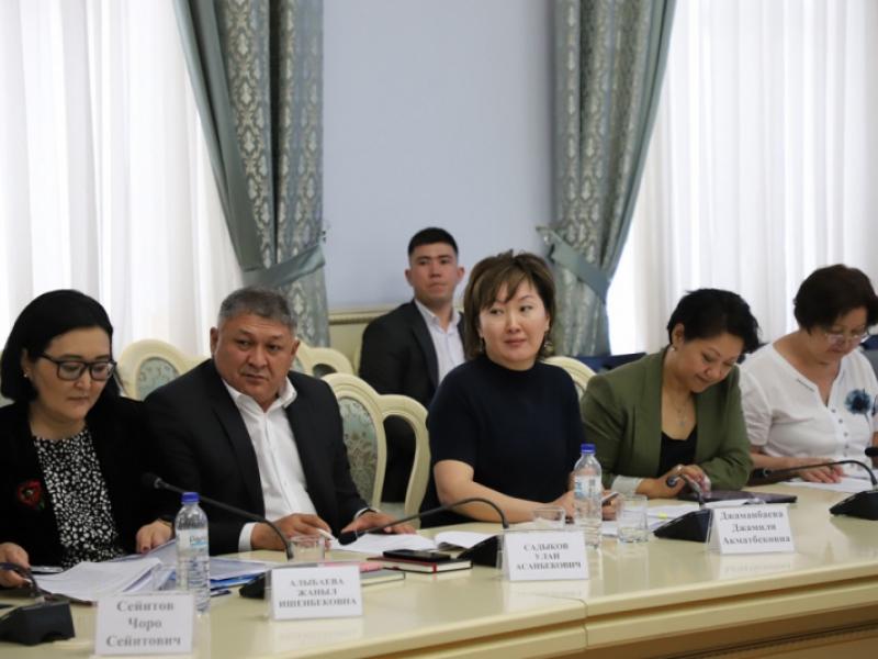  Акыйкатчы майыптыгы бар соттолгон жарандардын укуктары тууралуу маселени көтөрдү