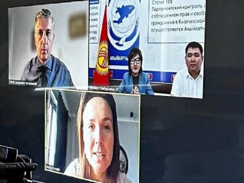 Акыйкатчы Джамиля Джаманбаева провела переговоры с главой департамента демократизации ОБСЕ БДИПЧ