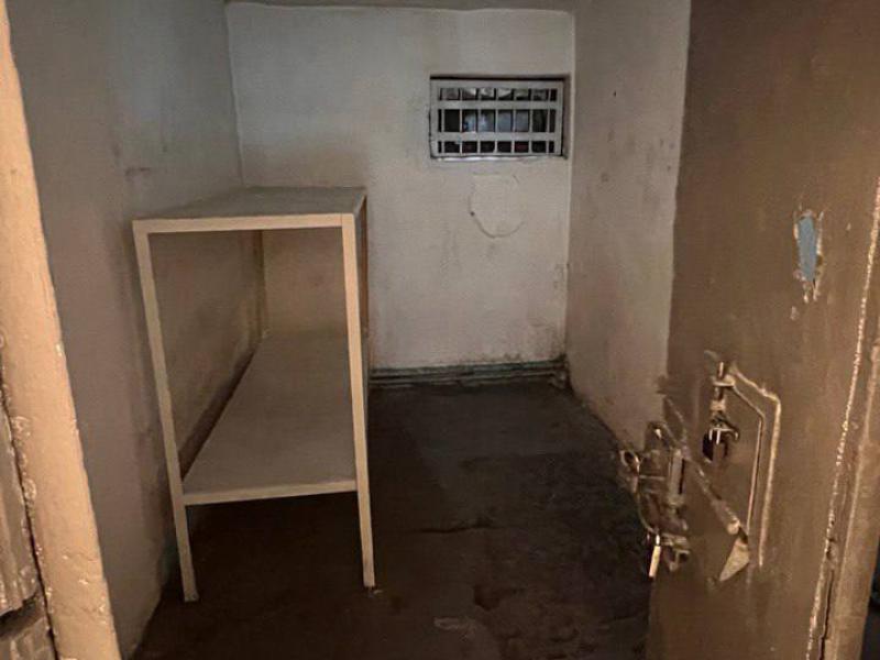 Жамиля Жаманбаева тергөө изоляторунда кармалып тургандардын укуктарын камсыздоого чакырат