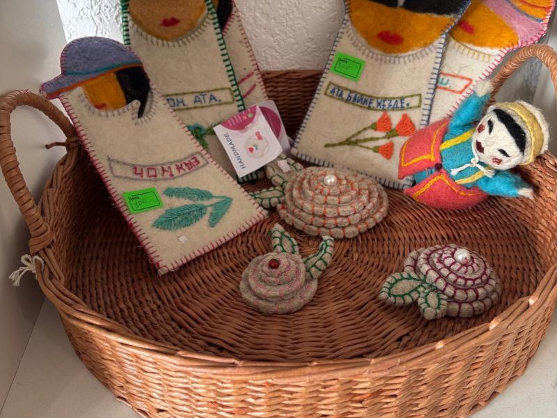 Институт Акыйкатчы окажет поддержку социальной деревне “Манас”