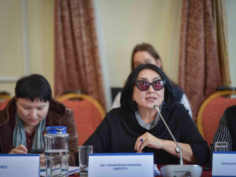 Международный день прав человека. В Бишкеке обсудили меры по укреплению системы предупреждения пыток в Кыргызстане