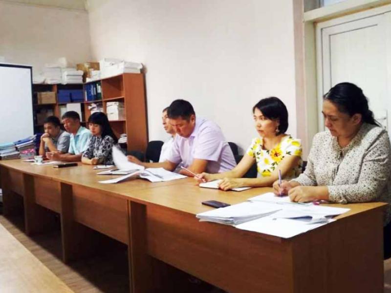 Бириккен улуттар уюмунун (БУУ) өнүгүү программасынын өкүлү менен Акыйкатчы институтунун кызматкерлери жолугушту