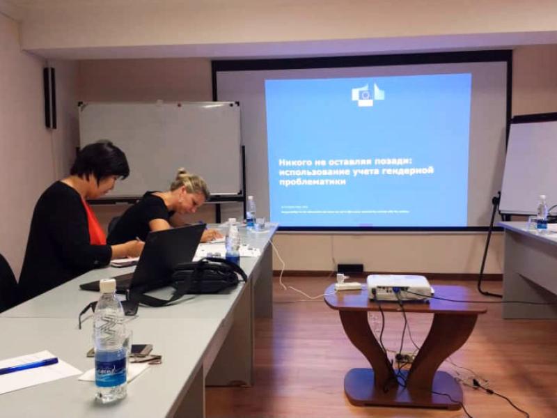 Акыйкатчы аппаратынын жетекчисинин милдетин аткаруучу жана Адам укуктары боюнча Дания институту (ДИПЧ) "Кыргыз Республикасындагы укук үстөмдүгү, Фаза-2" долбоорун ишке ашыруунун жүрүшүн талкуулашты