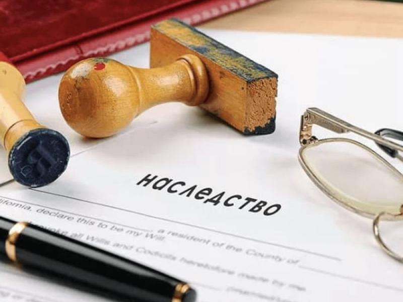 Акыйкатчы жашы жете элек жетим балдарга апасынан калган мурасты алууга жардам берди