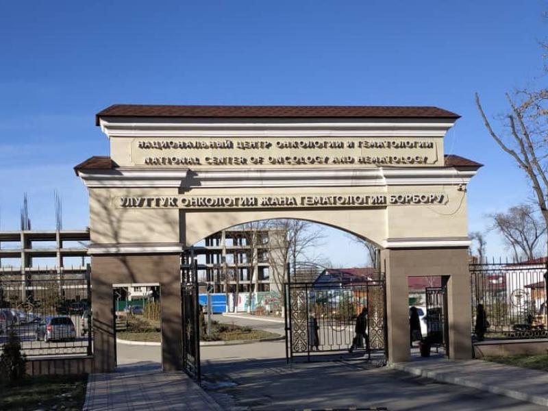 Акыйкатчы Институтунун онкология тармагын жакшыртууга багытталган сунуштары аткарылат